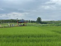 Qingmucun Zuoan Spring Homestay