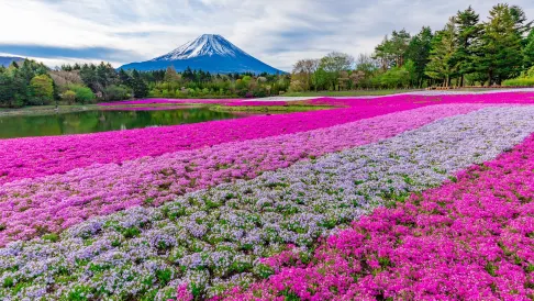Mt. Fuji View Onsen Ooike Hotel