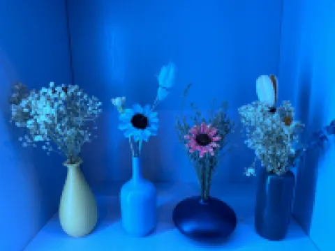 Y² E-Sports Hotel Hotels near Qunli Bund Ecological Wetland