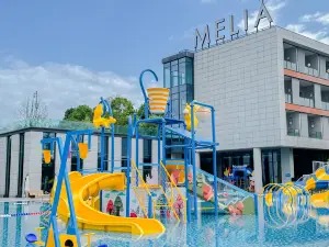Meliã Chongqing