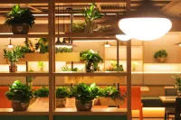 TRUE GO Hotel (Central Avenue Subway Station Baicheng Railway Station) - Gym