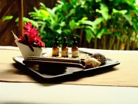 Unwnd Boutique Hotel Camiguin - spa