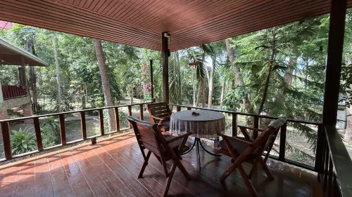 Deniz’s Zen Forest