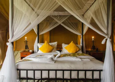 Kenzan Ndutu Camp Hotels in 