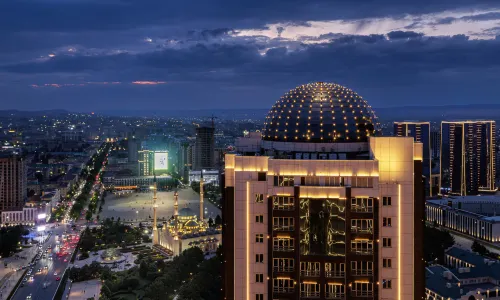 Cosmos Selection Grozny City