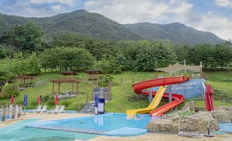 WELLPARK HOTEL GOCHANG