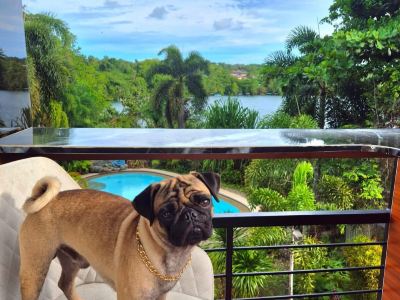 Riverduplex - luxury duplex at a fair price