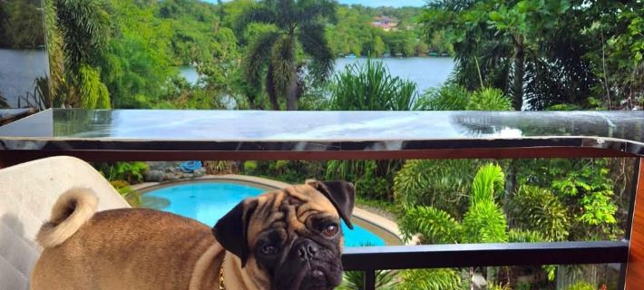 Riverduplex - luxury duplex at a fair price Hotels in Dauis