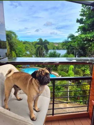 Riverduplex - luxury duplex at a fair price