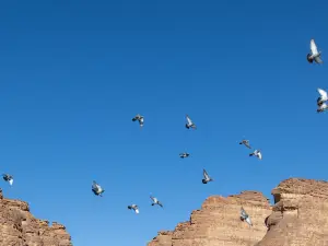 Popular 4-Star Select Hotels in Al Ula