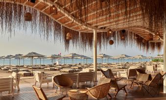 Lara Barut Collection - All Inclusive