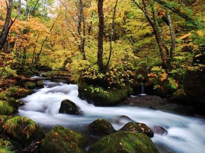 ホテル周辺 星野リゾート 奥入瀬渓流ホテルの写真