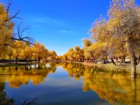 Yishu Time Homestay Các khách sạn gần The Desert Populus Scenic Spot