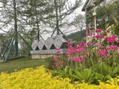 Yingxue Hotel Hotels in Dayi