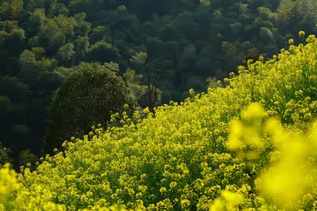 Yaojia Zhuji Heart Villa Homestay Отели в г. Чжуцзи