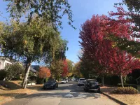 Super Cosy 8B6B in Vancouver heart near to airport