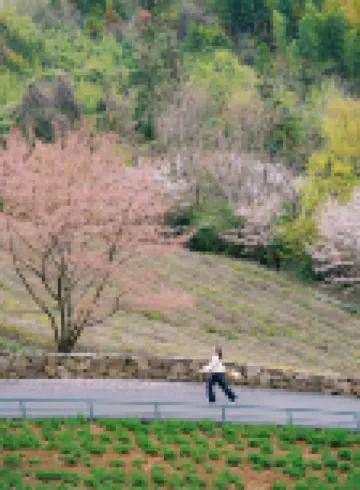 Meijie Mountain Hotspring Resort