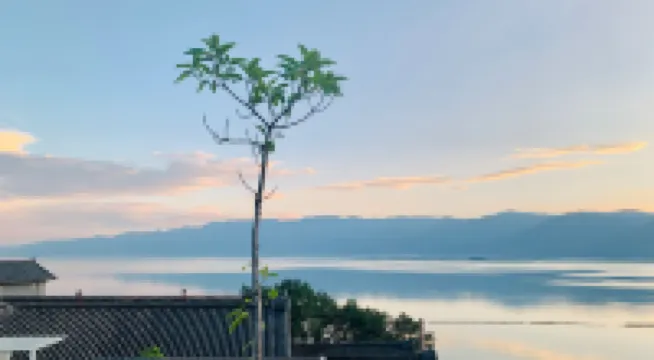 Floral Hotel·Dali,Shuanglang Village Spring Lodge Hotel (shop in Erhai Park, Shuanglang Scenic Spot) Hotels in Dali