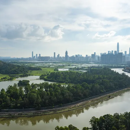 Felicity Hotel Shenzhen