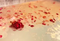 Piedmont Hot Spring Villa - Romantische