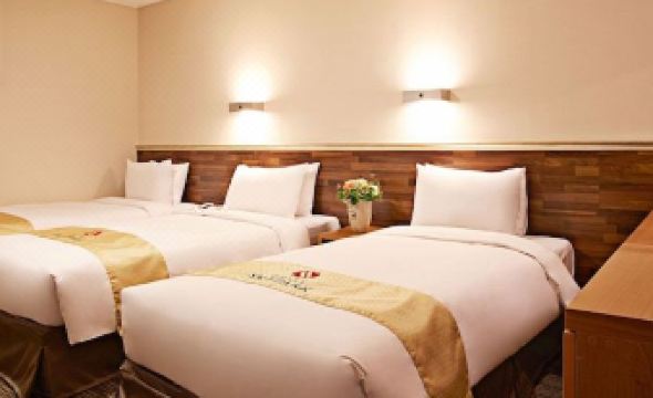 Hotel Skypark Myeongdong 1