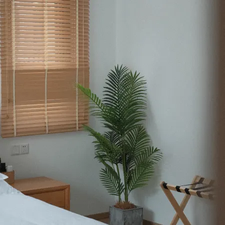 Changxing Zhuyin Shanlan Homestay