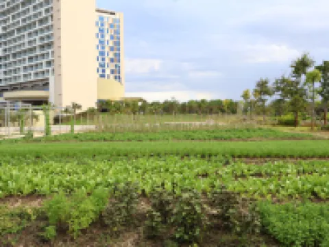Aquamarine Cam Ranh By Swandor – All Inclusive Hotels near Khu Du Lịch Bãi Dài