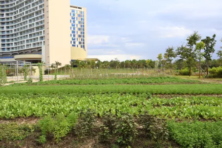 Aquamarine Cam Ranh - By Swandor Отели рядом с достопримечательностью «Пляж Бай Дай»