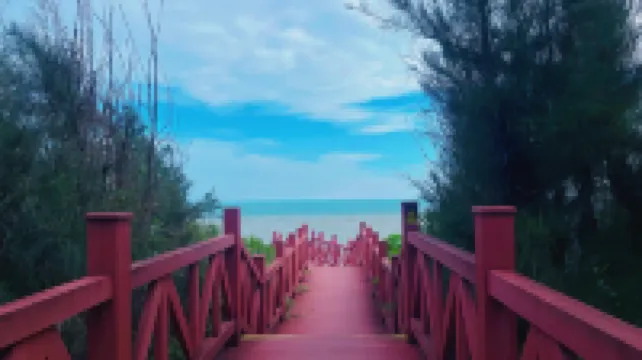 Love at Cape Capsule Homestay