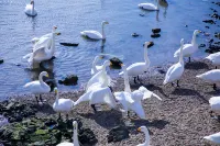 Weihai Chengtou Beichen Hotel - romantis