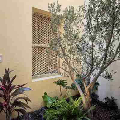 Designer Retreat in Centro Heated Pool & Views Hotel Exterior