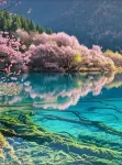 Tuke Qingju Hotel (Jiuzhaigou National Park Eternal Love) - romantis