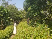 An Nhiên Farmstay & Resort Hotels in Pleiku