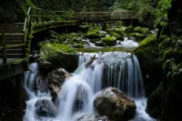 景麗飯店（牛背樑國家森林公園終南山寨店） - 山景