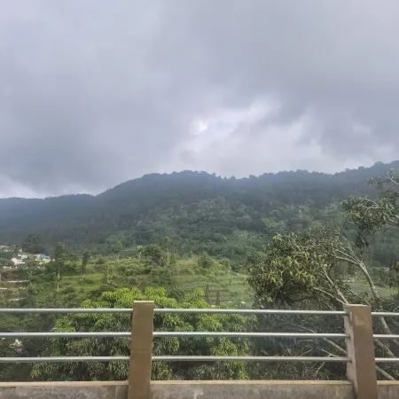The Green County Homestay