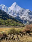 Daocheng Jiangze Homestay - 2 estrellas