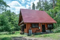 The Woods Villa Alps-Azumino - Mountain view