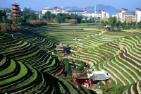 田家小院民宿（奢香古鎮店） - 山景