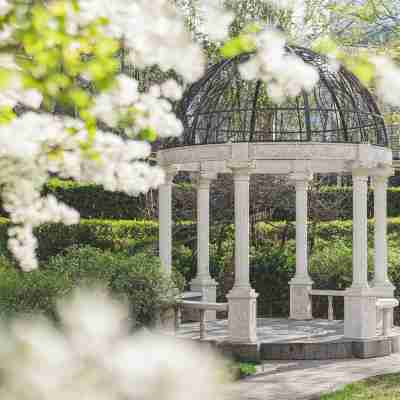 北京麗思卡爾頓酒店(華貿中心) Rooms