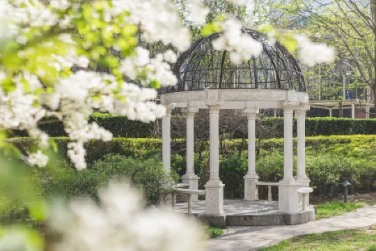 The Ritz-Carlton Beijing