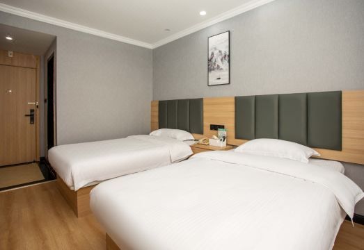 그린트리 인 상하이 루오징 익스프레스 호텔