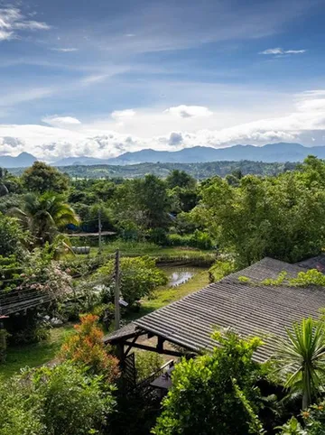 รูปภาพของนกขมิ้นโฮม เชียงดาว