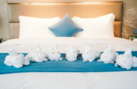 淮安富力萬達嘉華酒店（市中心萬象城店）