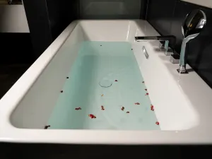 안징 호텔 러산