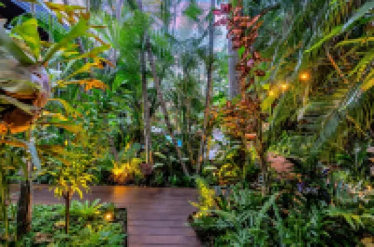 The Palms at Palm Cove