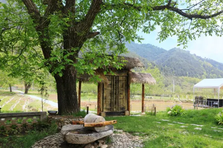 Nut Tree Country House