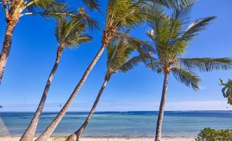 Riu Turquoise - All Inclusive