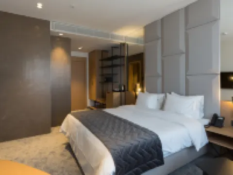 ホテル モナ プラザ ベオグラードのホテル