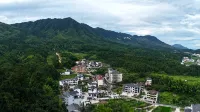 Pusu