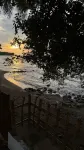 杜馬蓋地一帆潛水度假村 - 沙灘